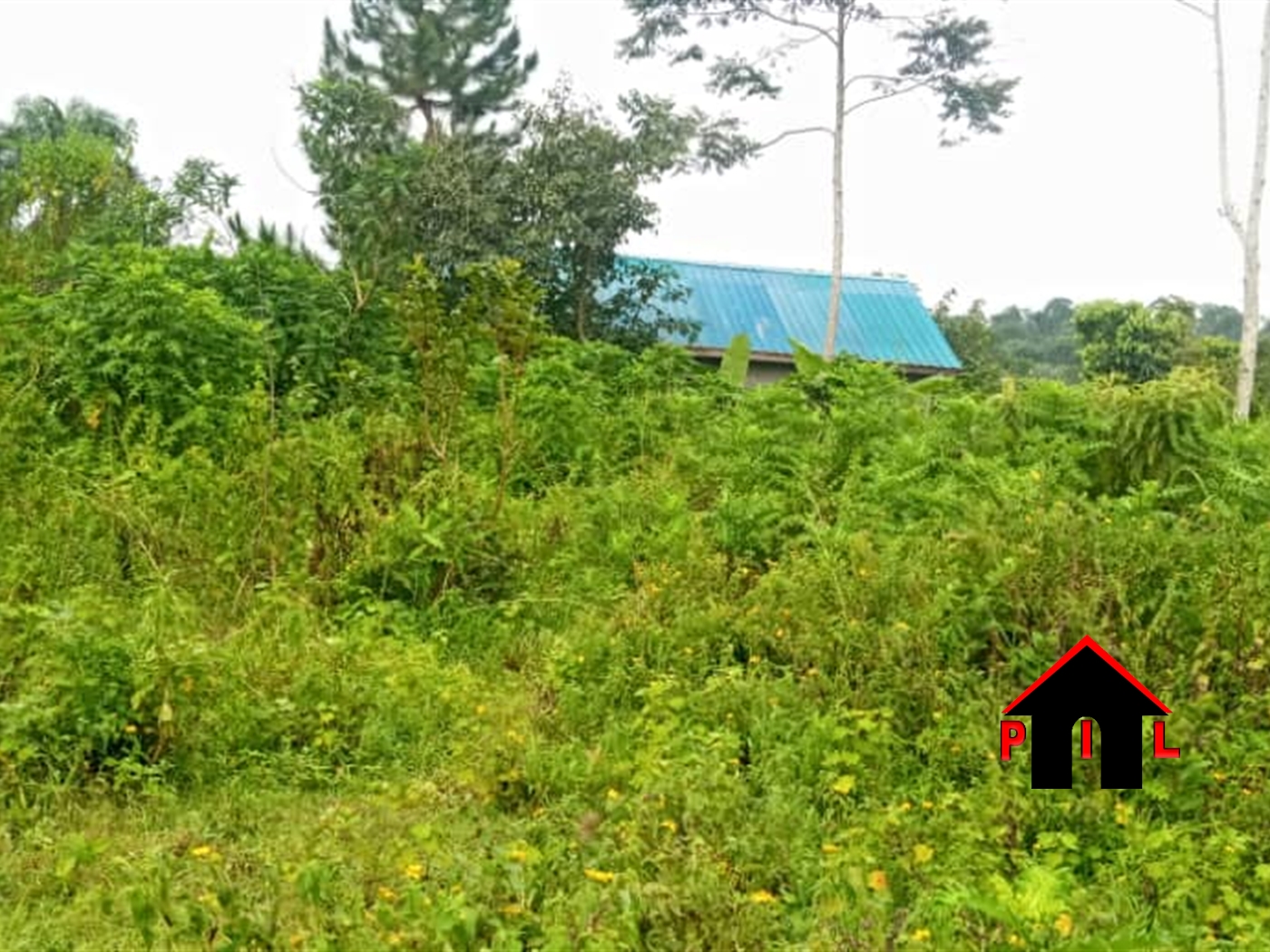 Residential Land for sale in Kabubbu Wakiso