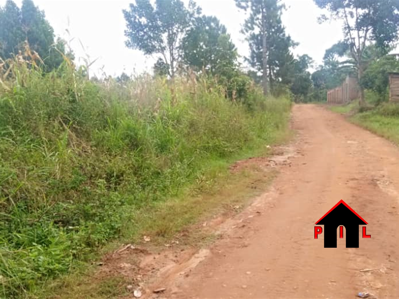 Residential Land for sale in Buddugala Mukono