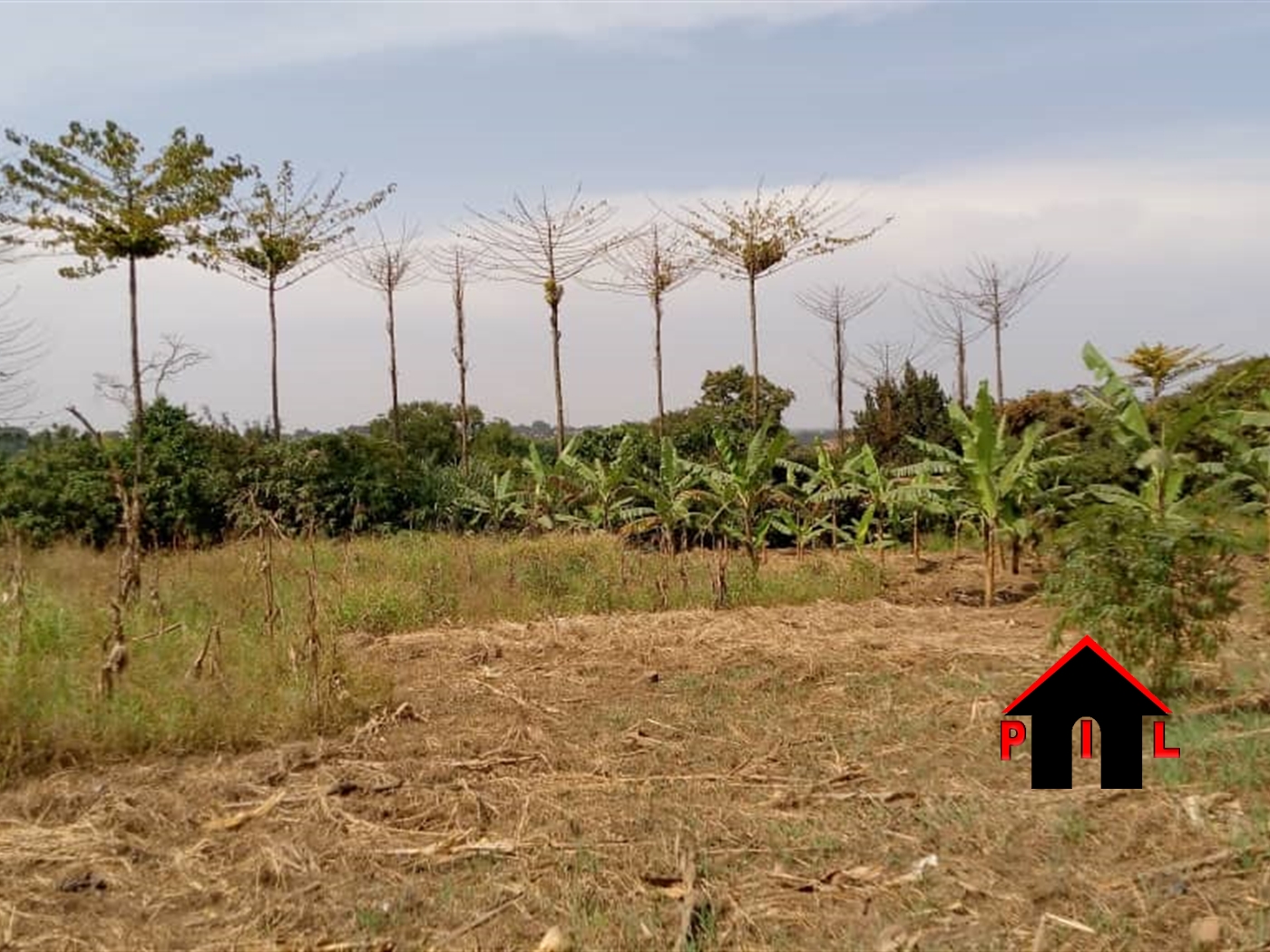 Agricultural Land for sale in Busukuma Wakiso