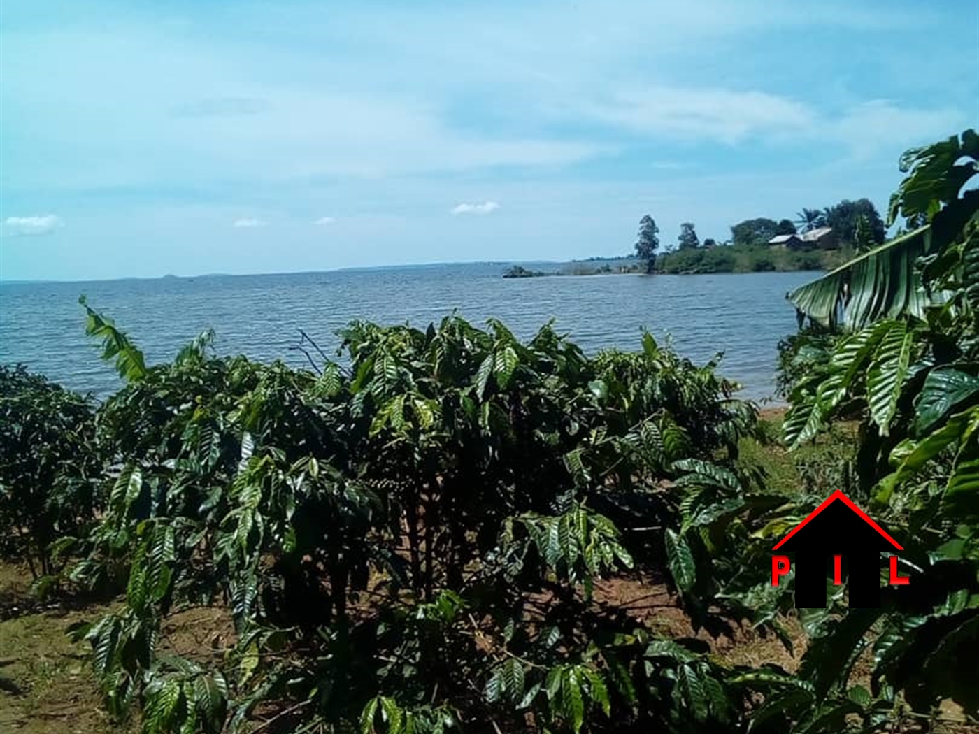 Commercial Land for sale in Bukasa Bugiri