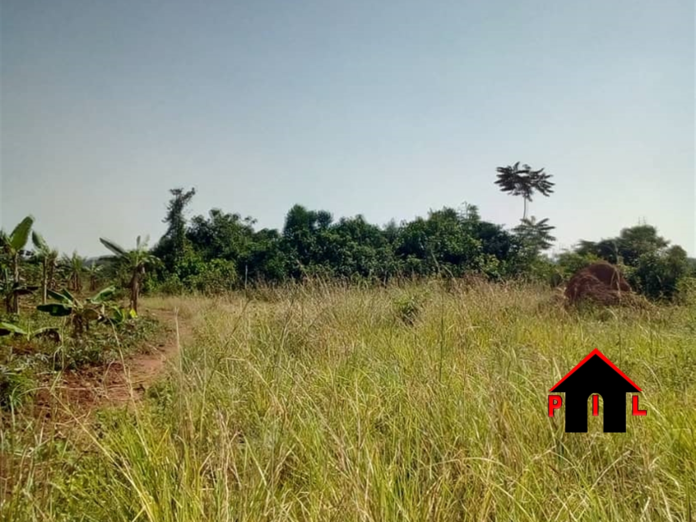 Agricultural Land for sale in Busiika Luweero