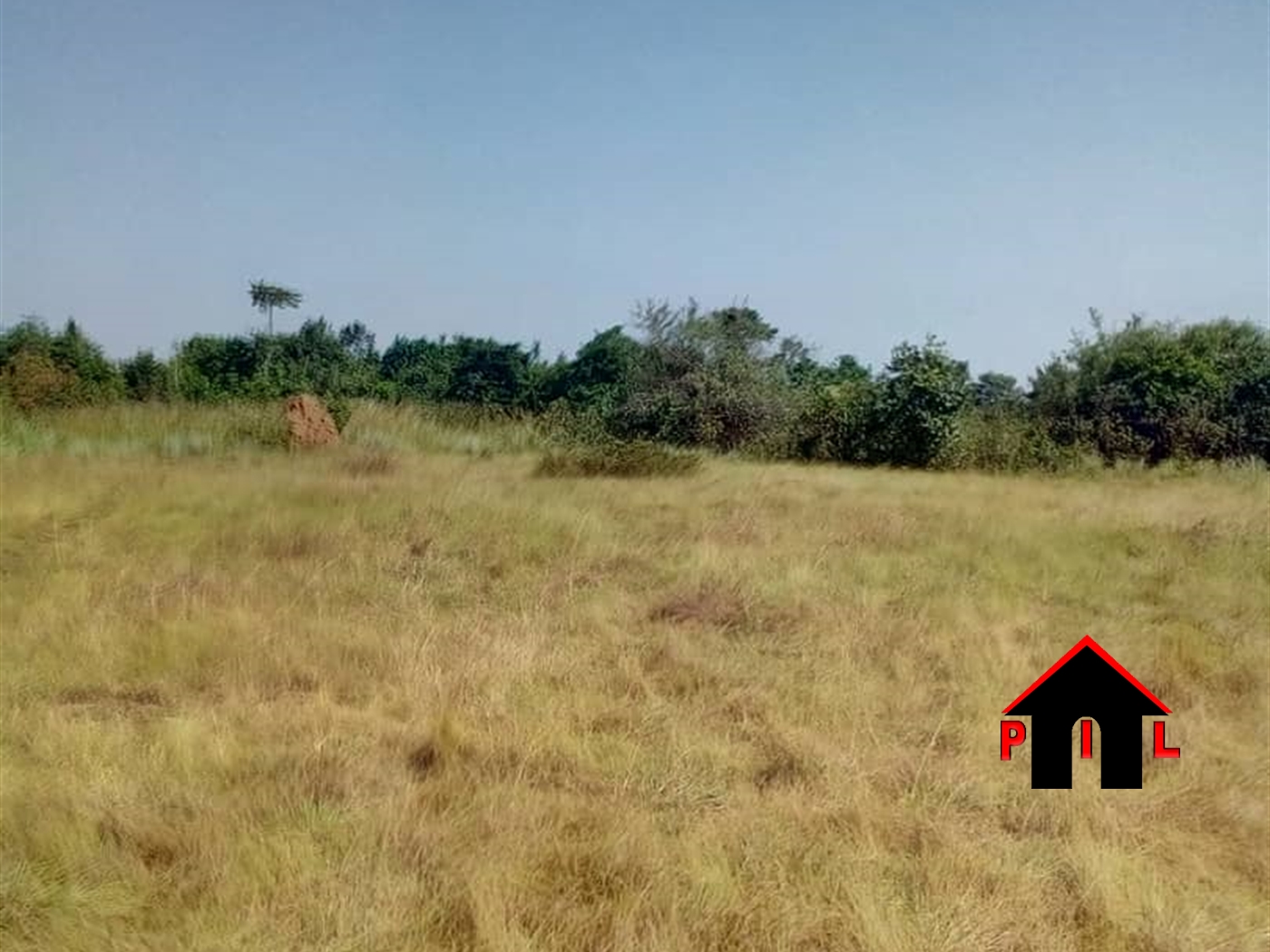 Agricultural Land for sale in Busiika Luweero