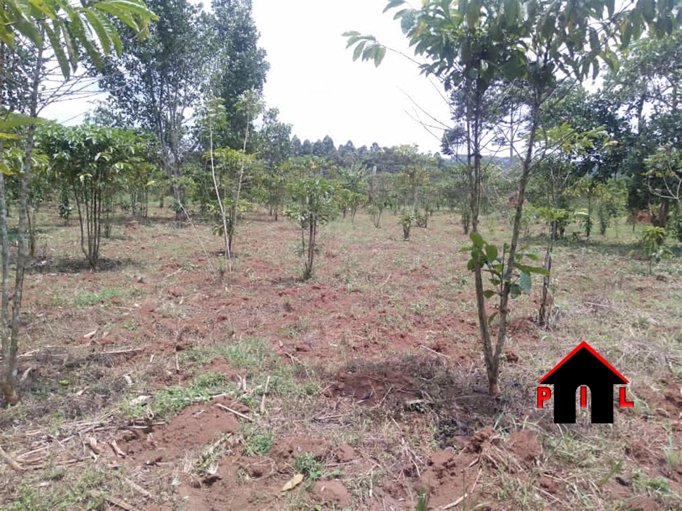 Commercial Land for sale in Kalagala Luweero