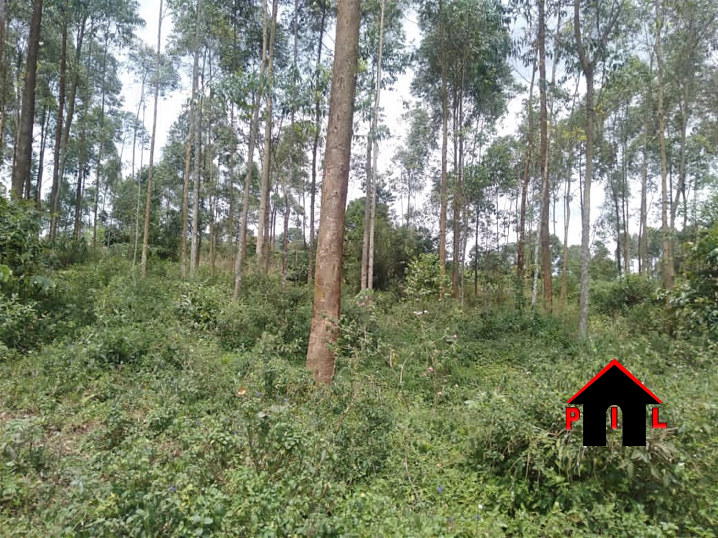 Commercial Land for sale in Kalagala Luweero