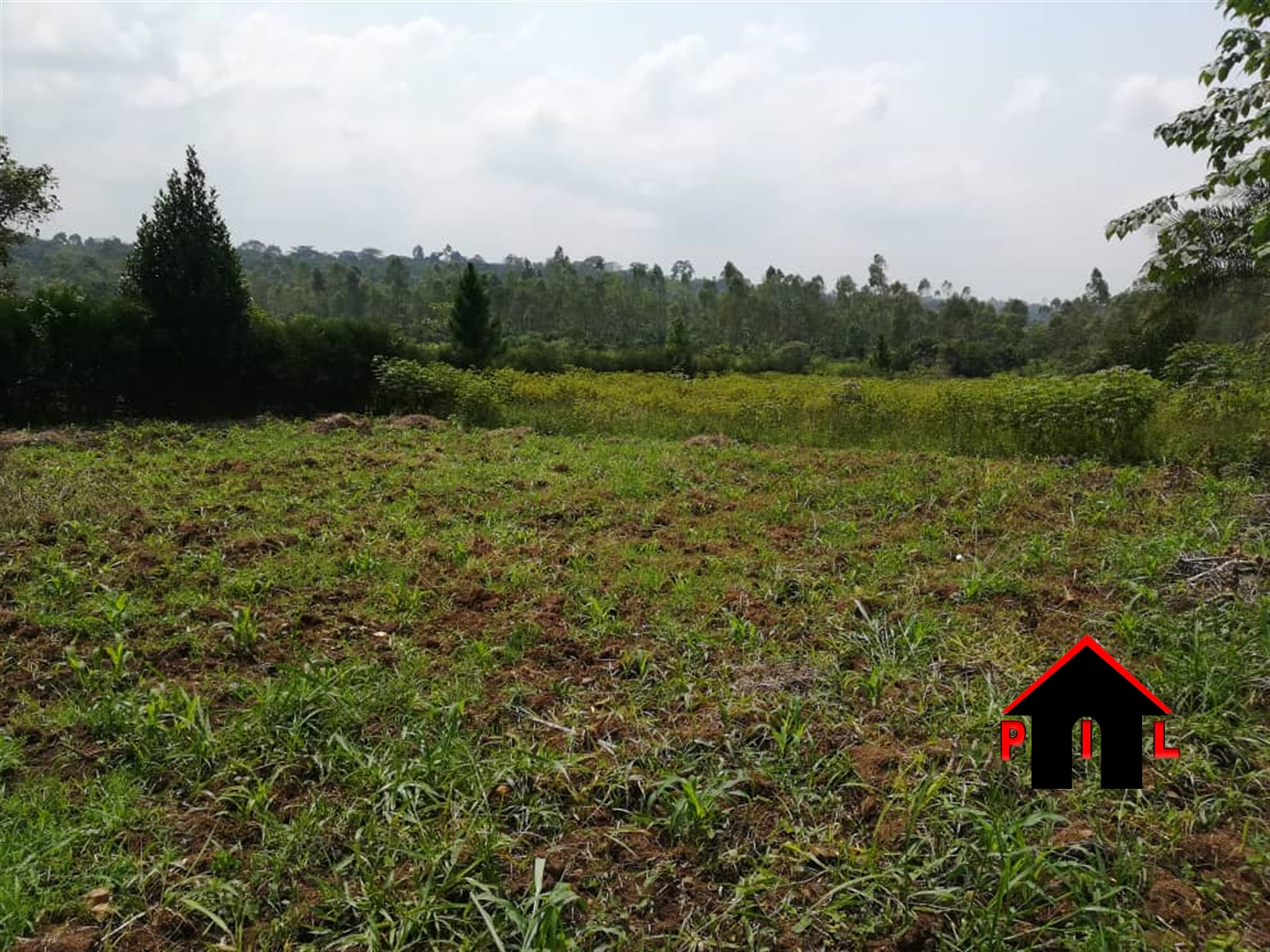 Commercial Land for sale in Kikyuusa Luweero