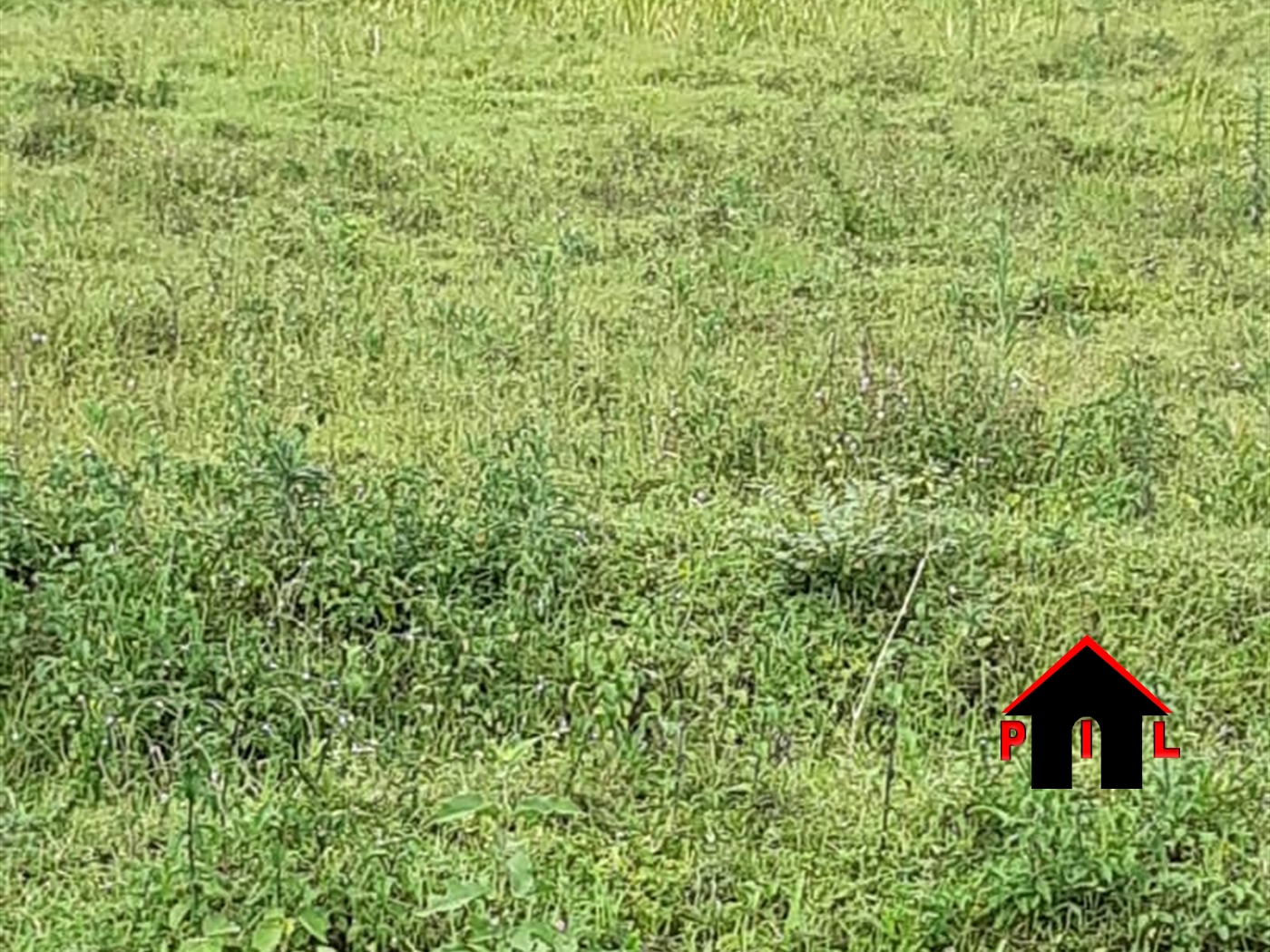 Agricultural Land for sale in Masunkwe Luweero