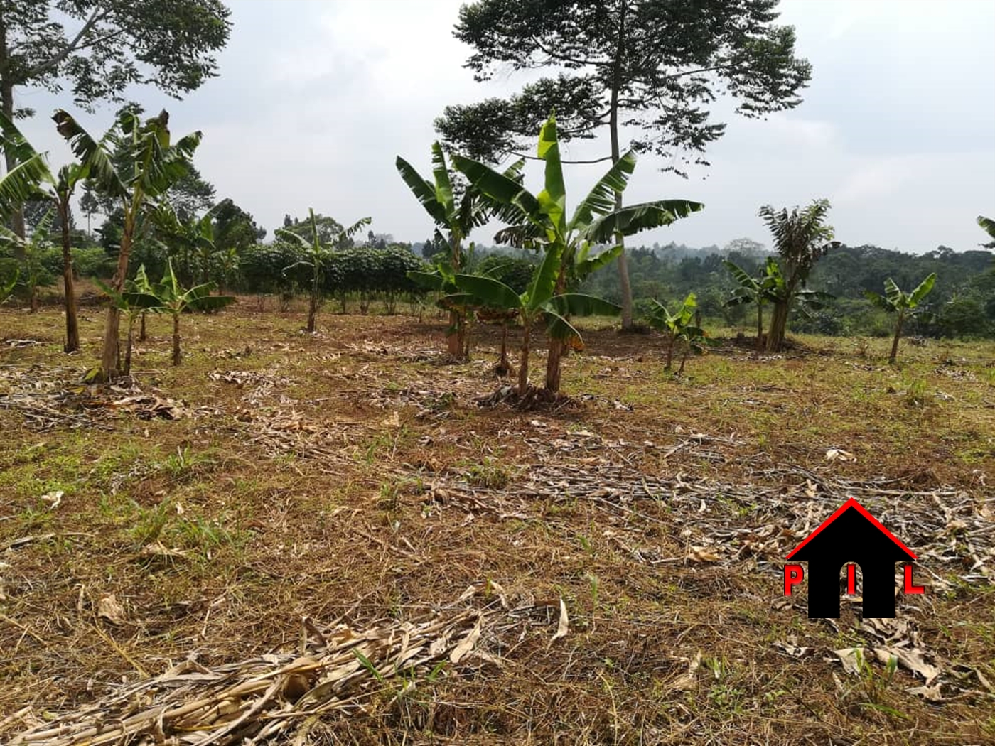 Agricultural Land for sale in Buso Wakiso