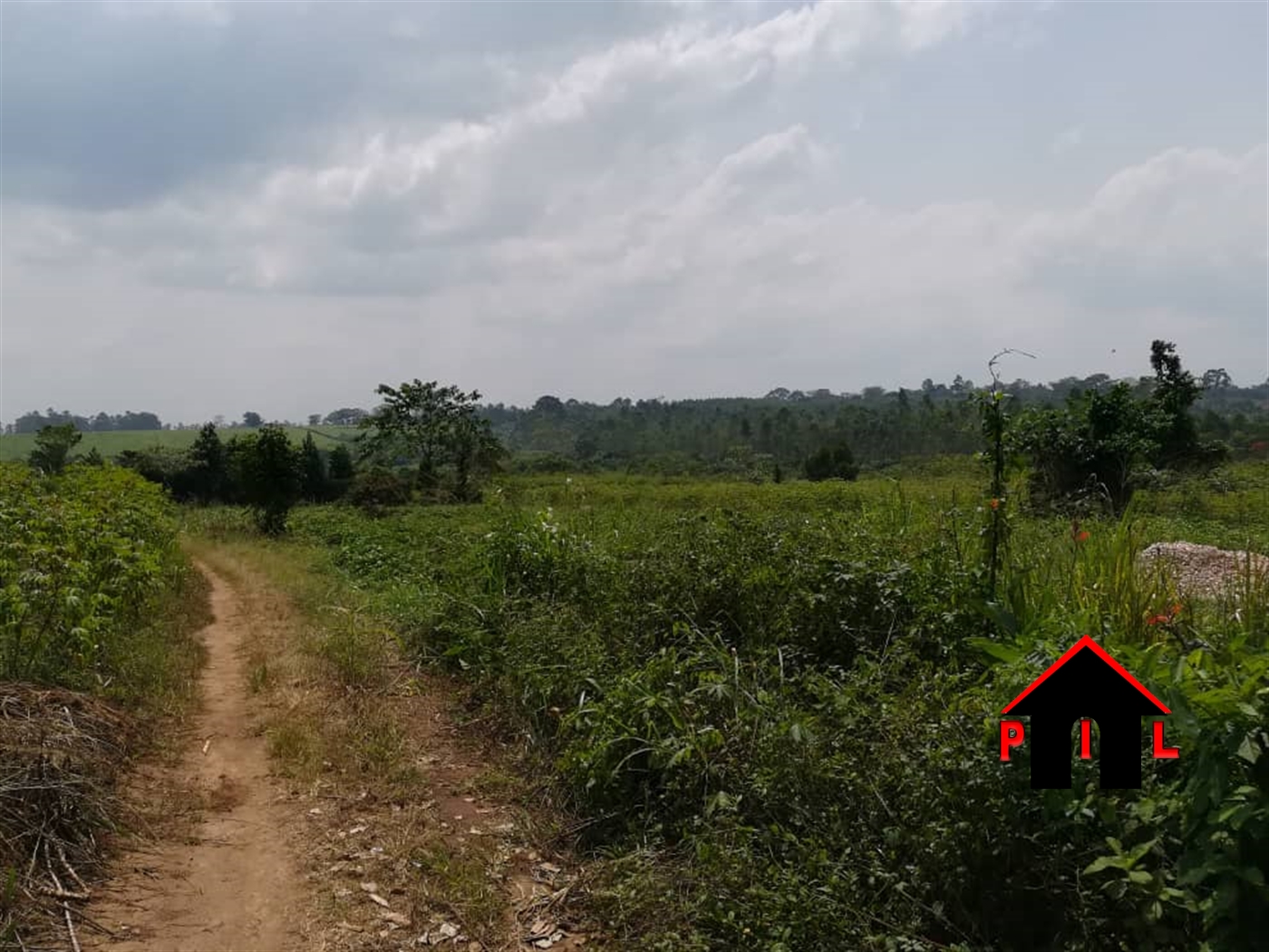 Agricultural Land for sale in Buso Wakiso