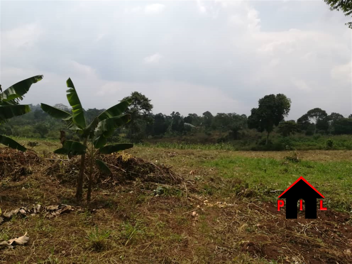 Agricultural Land for sale in Namuganja Luweero