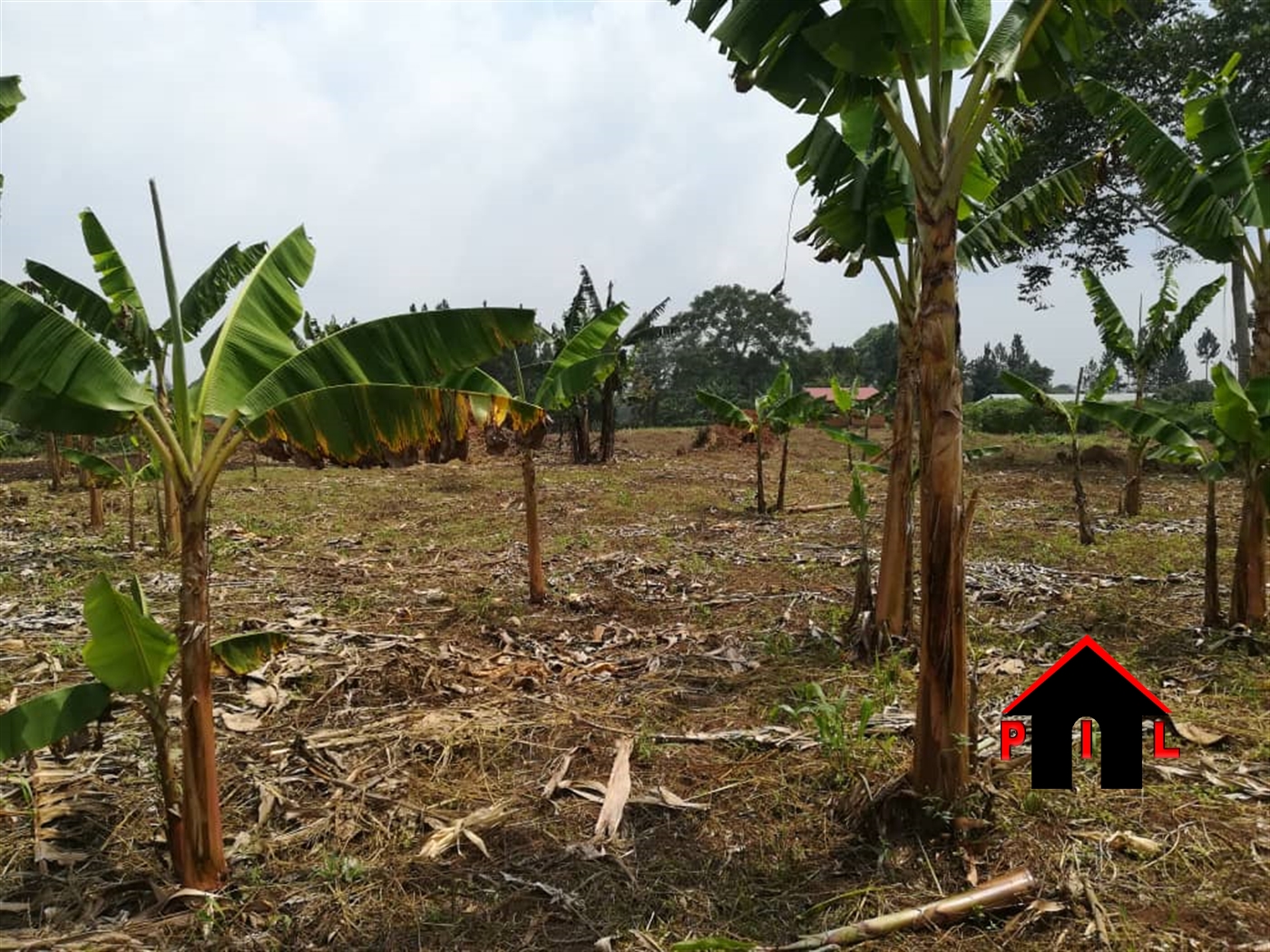 Agricultural Land for sale in Namuganja Luweero