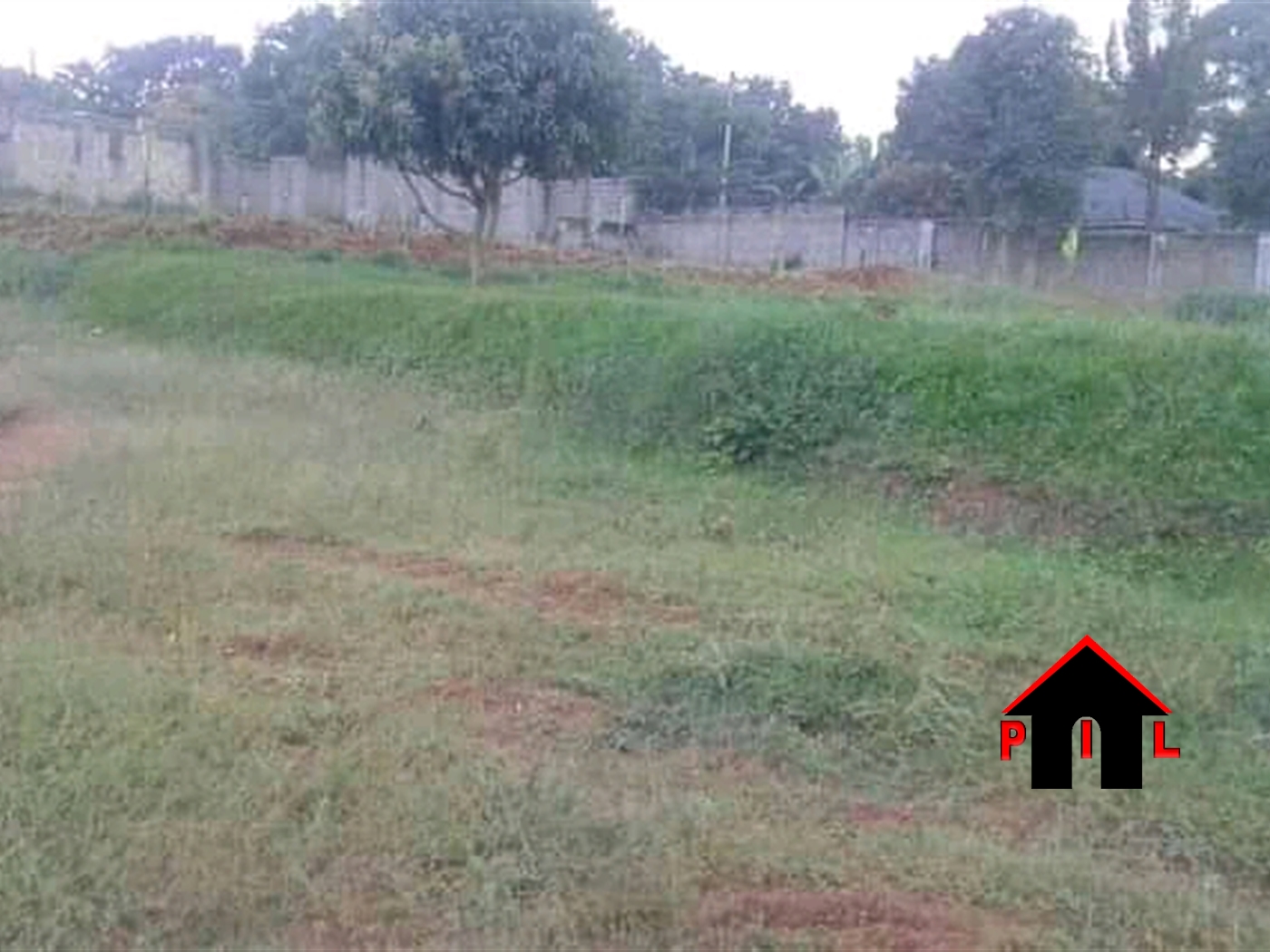 Agricultural Land for sale in Lungulu Ibanda