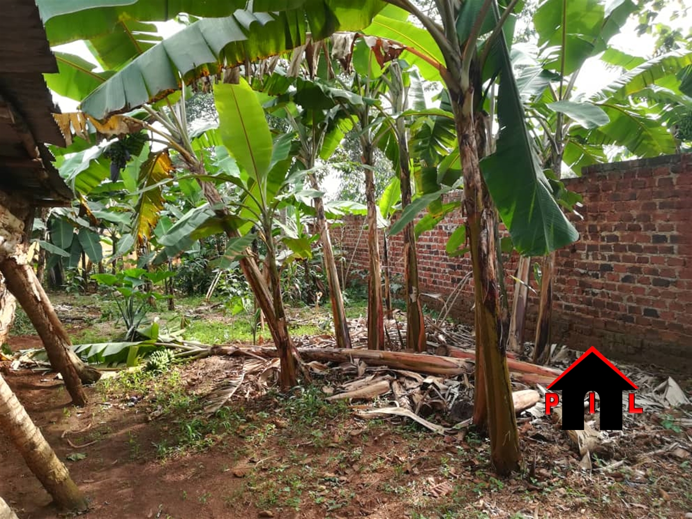 Agricultural Land for sale in Lukaya Masaka