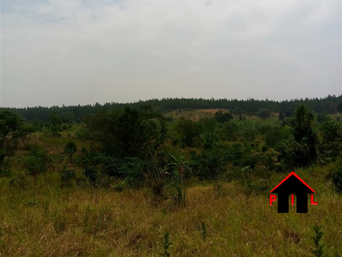 Residential Land for sale in Bukasa Wakiso