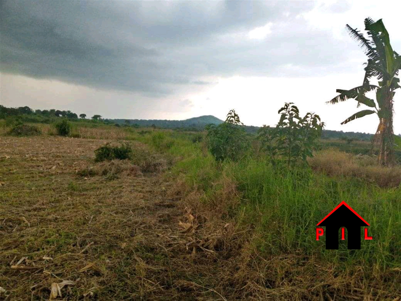 Agricultural Land for sale in Mbilizi Nakaseke