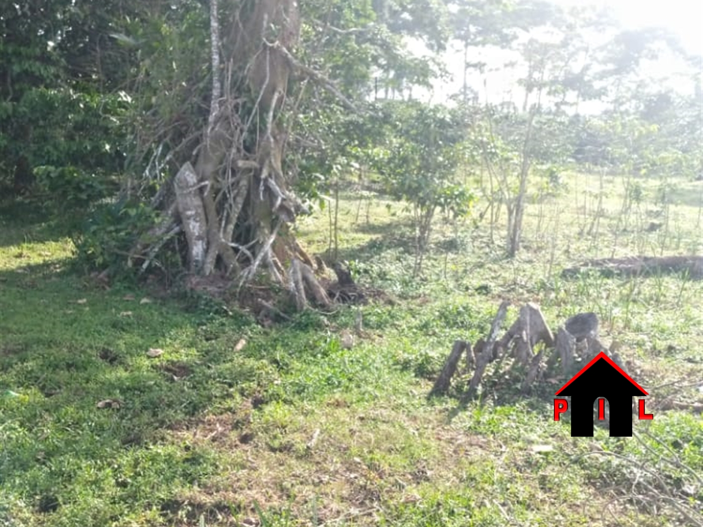 Commercial Land for sale in Makenke Wakiso