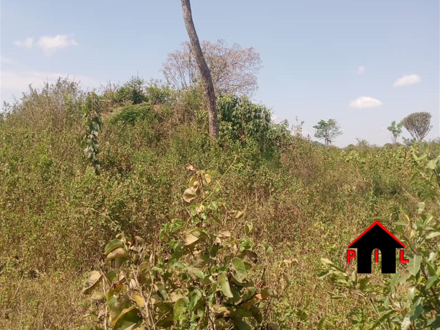 Agricultural Land for sale in Lukiizi Luweero