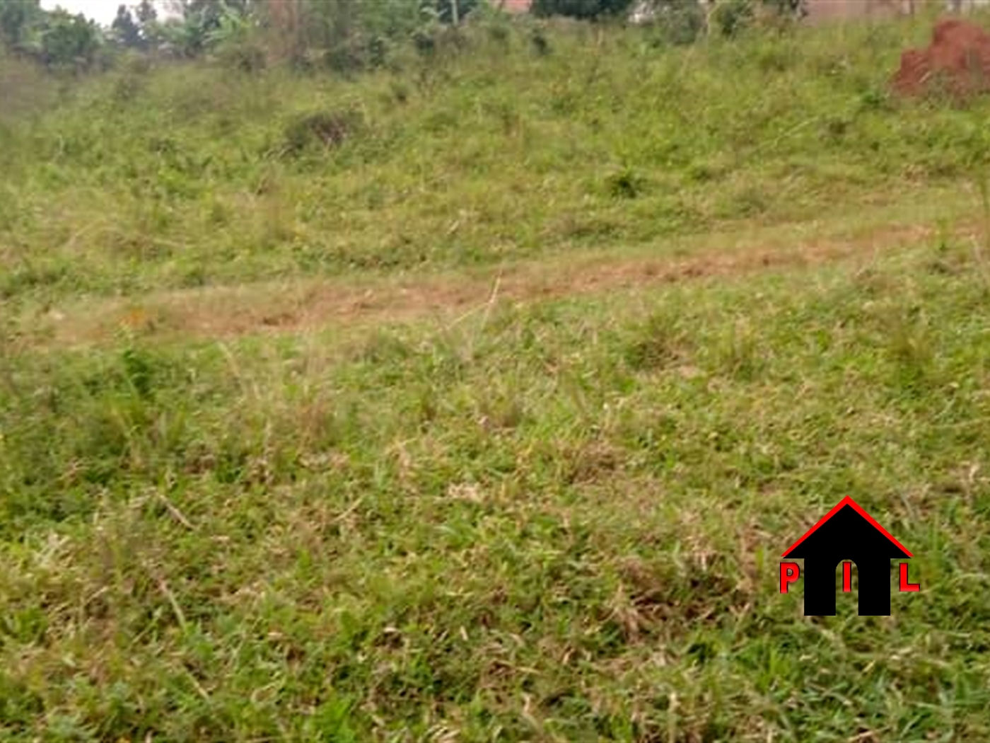 Agricultural Land for sale in Buleebi Mukono