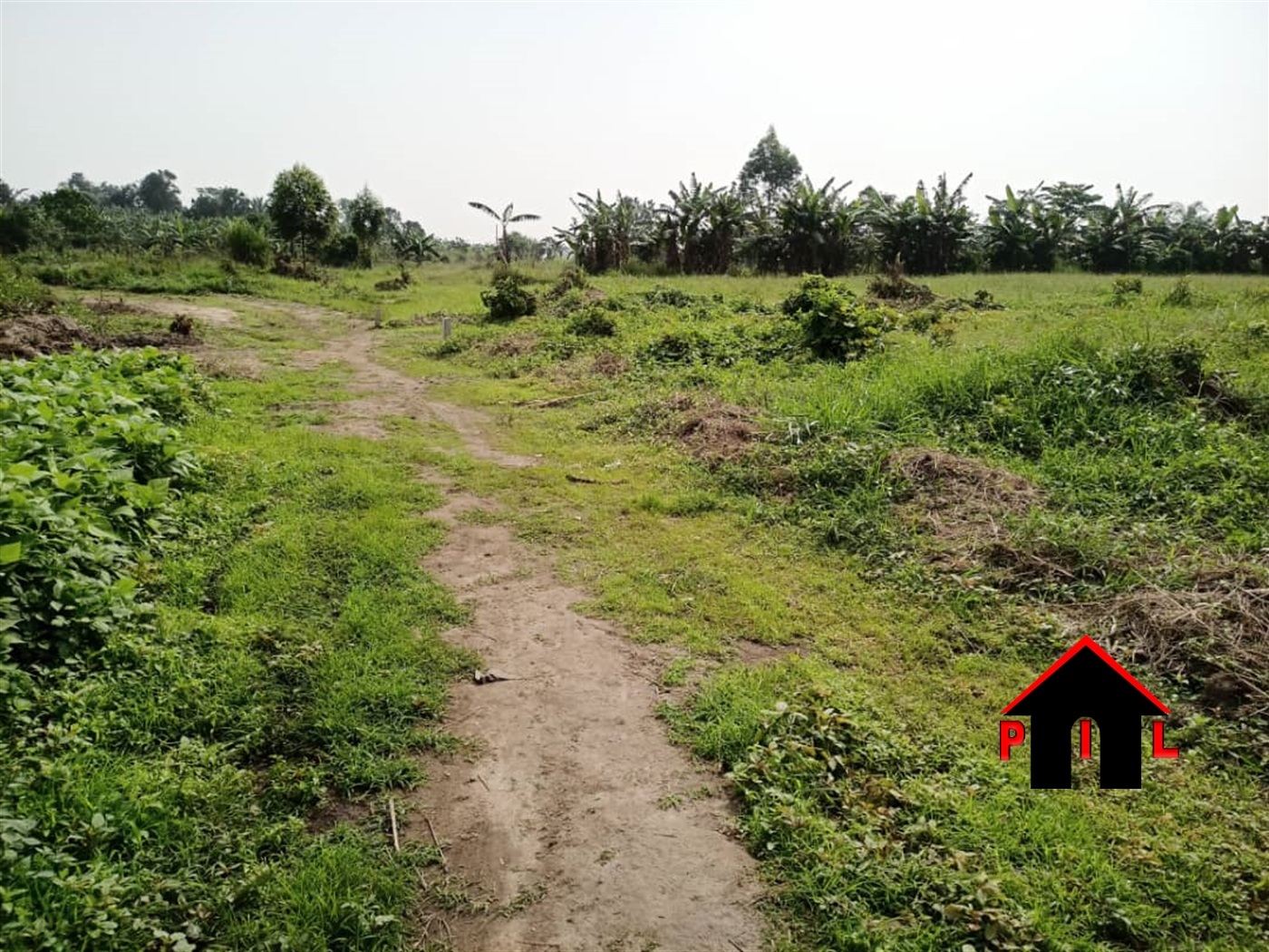 Agricultural Land for sale in Busiika Wakiso