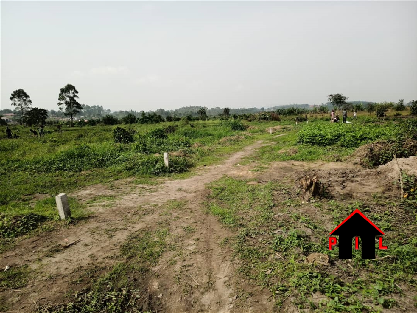 Agricultural Land for sale in Busiika Wakiso