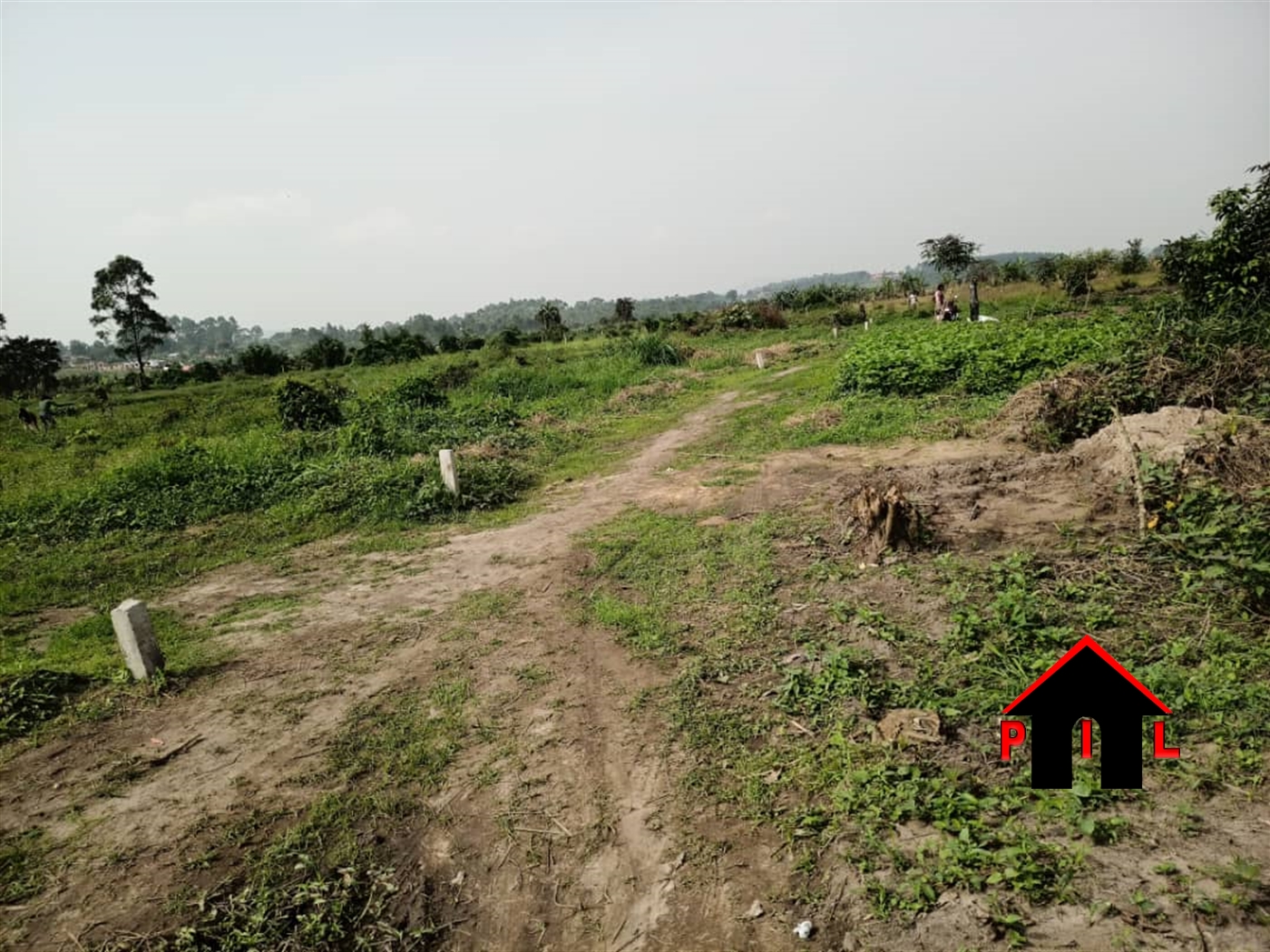 Agricultural Land for sale in Busiika Wakiso