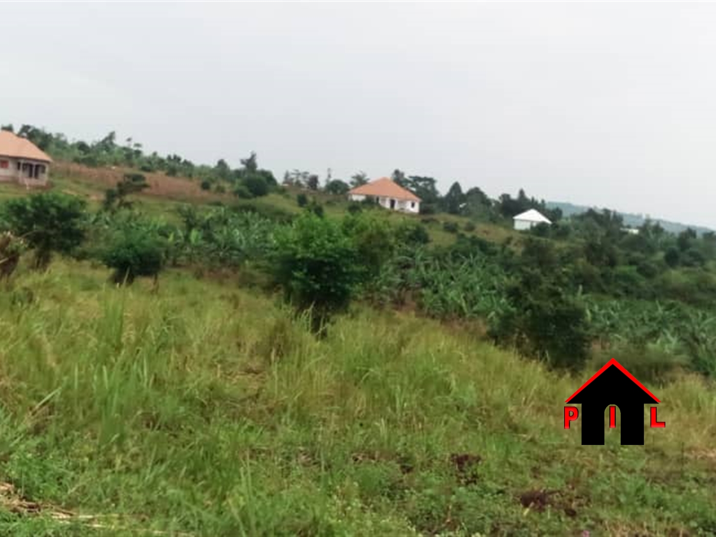 Agricultural Land for sale in Bugerere Kayunga