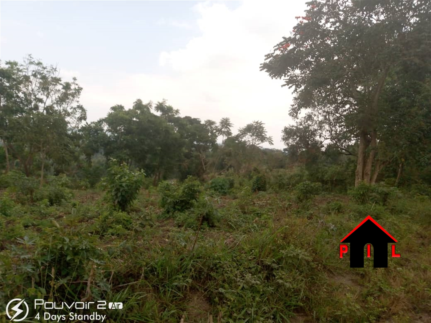 Agricultural Land for sale in Burizi Wakiso