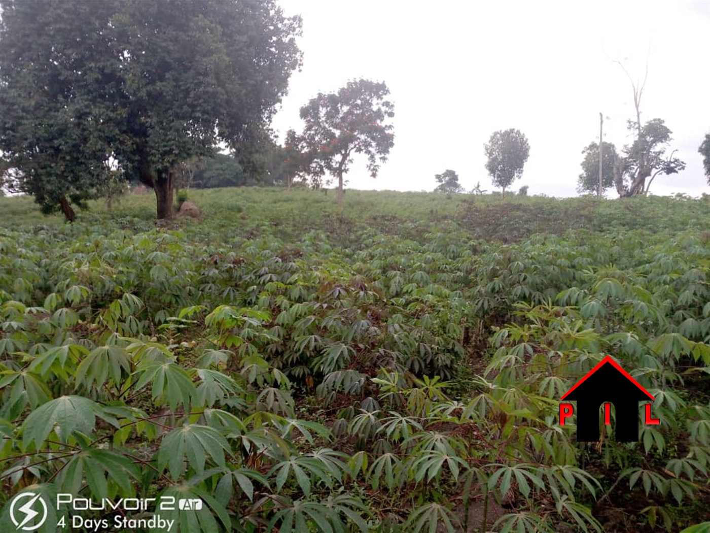 Agricultural Land for sale in Burizi Wakiso