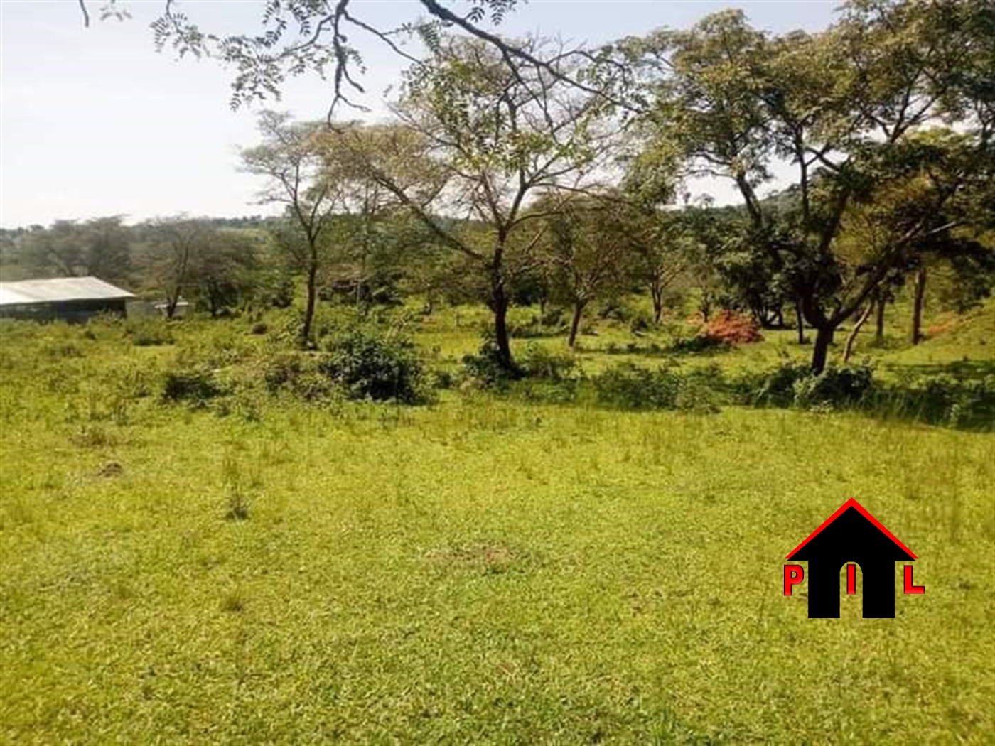 Commercial Land for sale in Madu Gomba