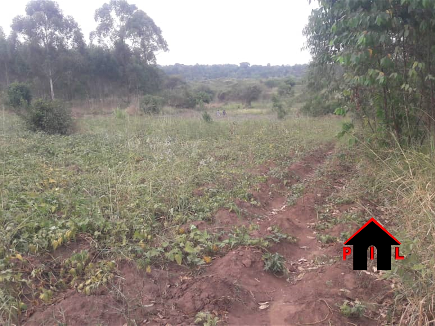 Industrial Land for sale in Namanve Mukono