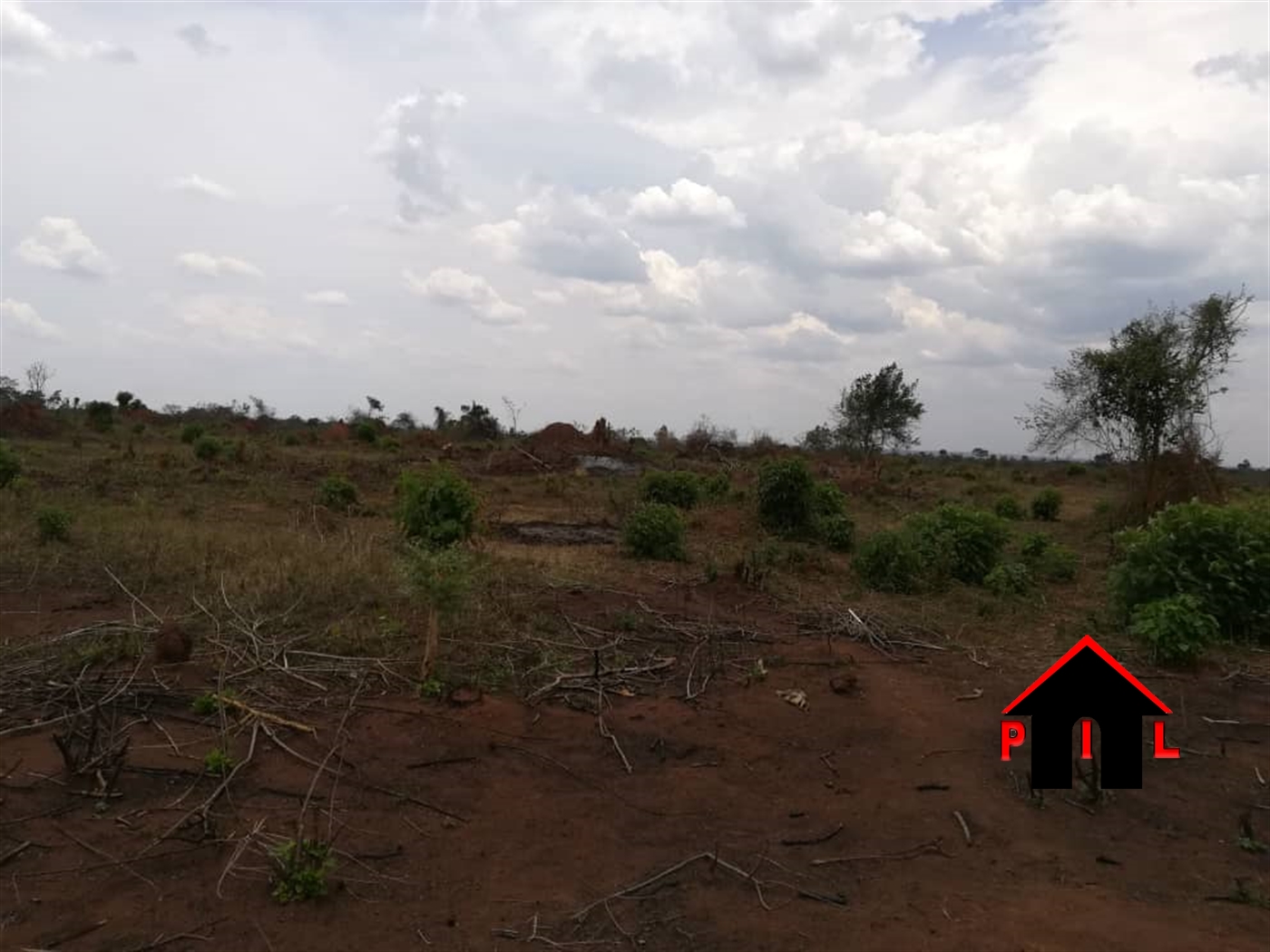 Agricultural Land for sale in Bbaale Kayunga