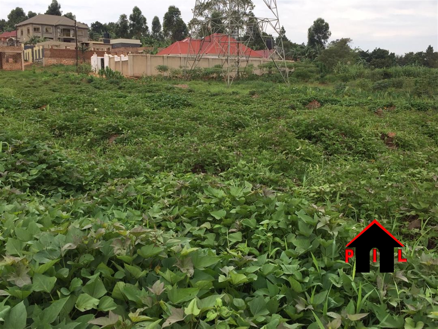 Agricultural Land for sale in Kayina Nakaseke