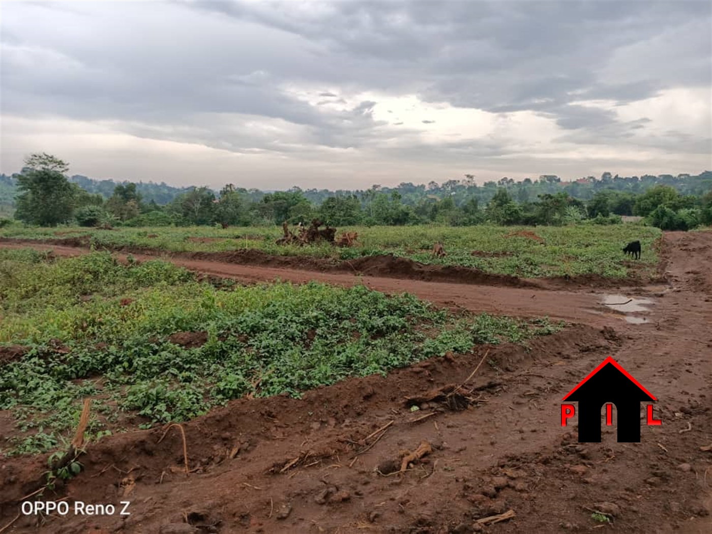 Residential Land for sale in Mwera Wakiso