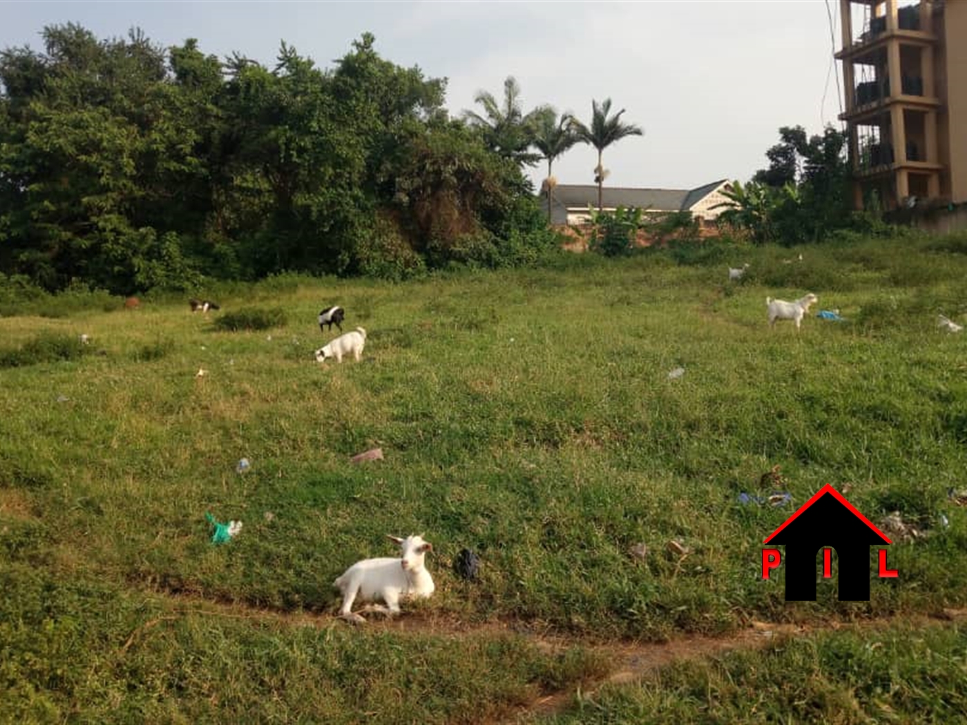 Residential Land for sale in Namusela Wakiso