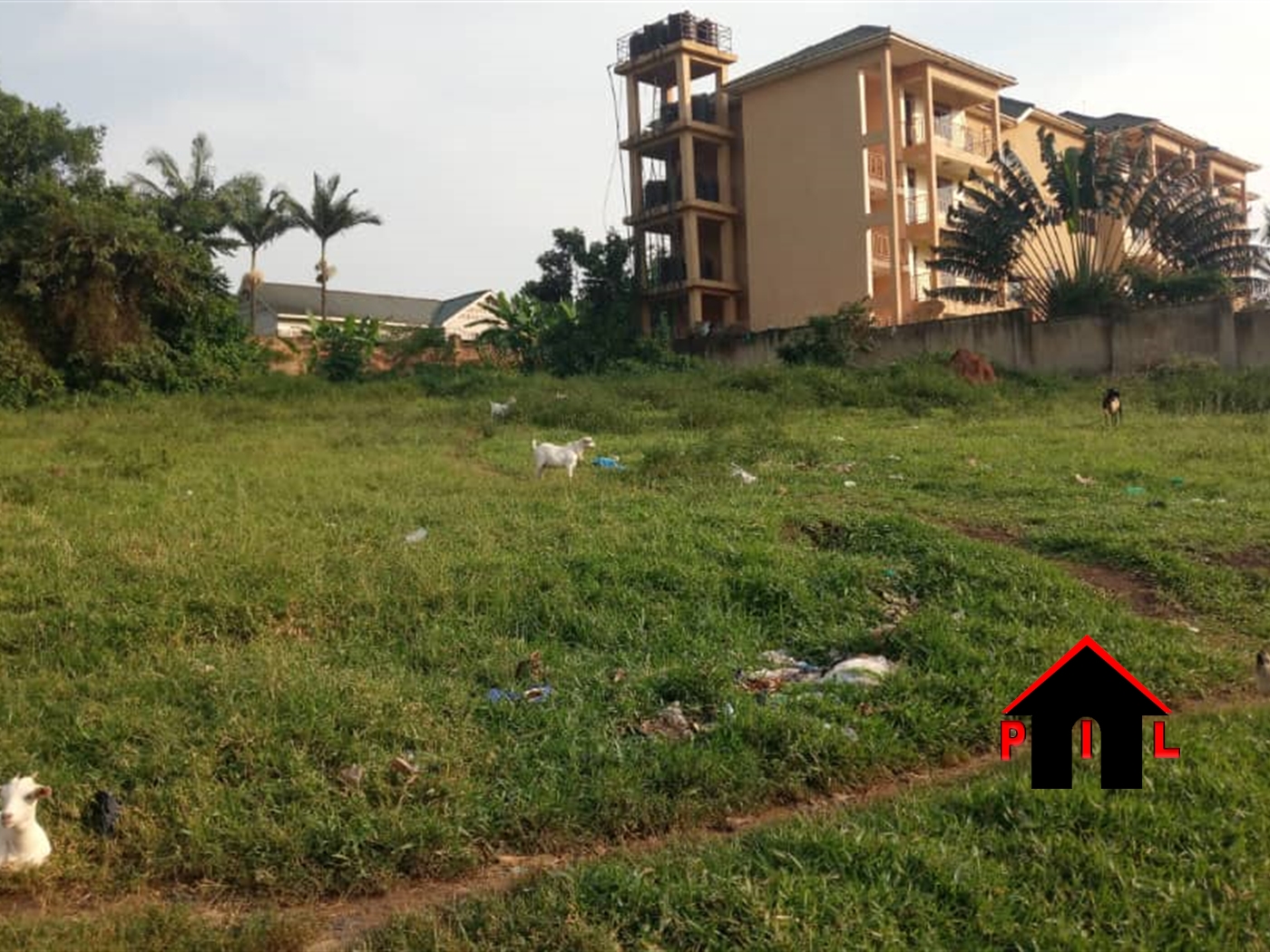 Residential Land for sale in Namusela Wakiso