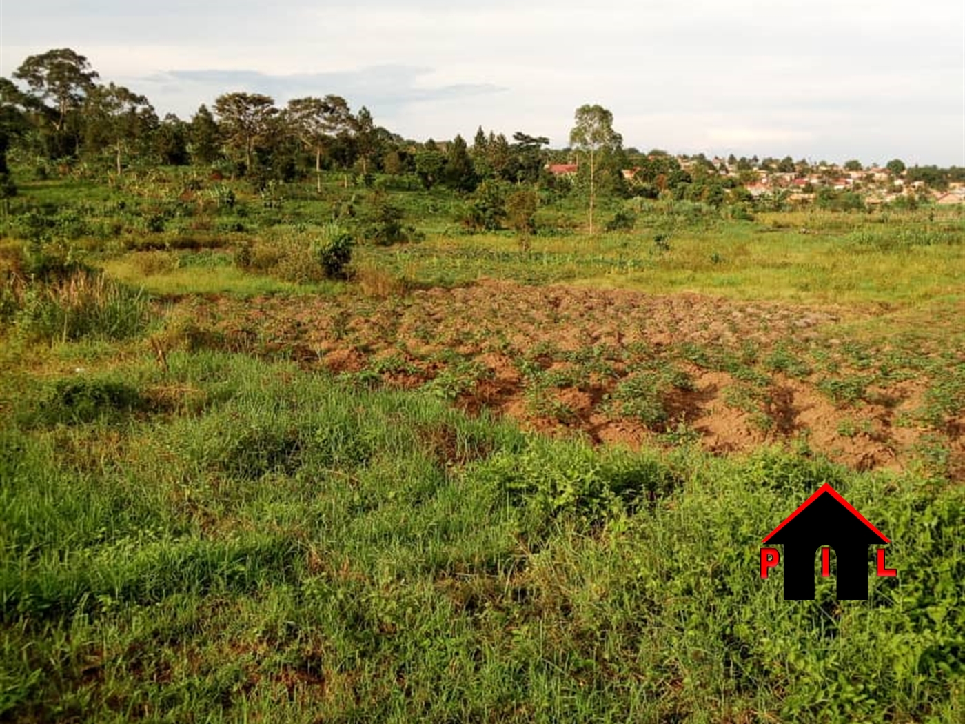 Agricultural Land for sale in Kiwawu Mityana