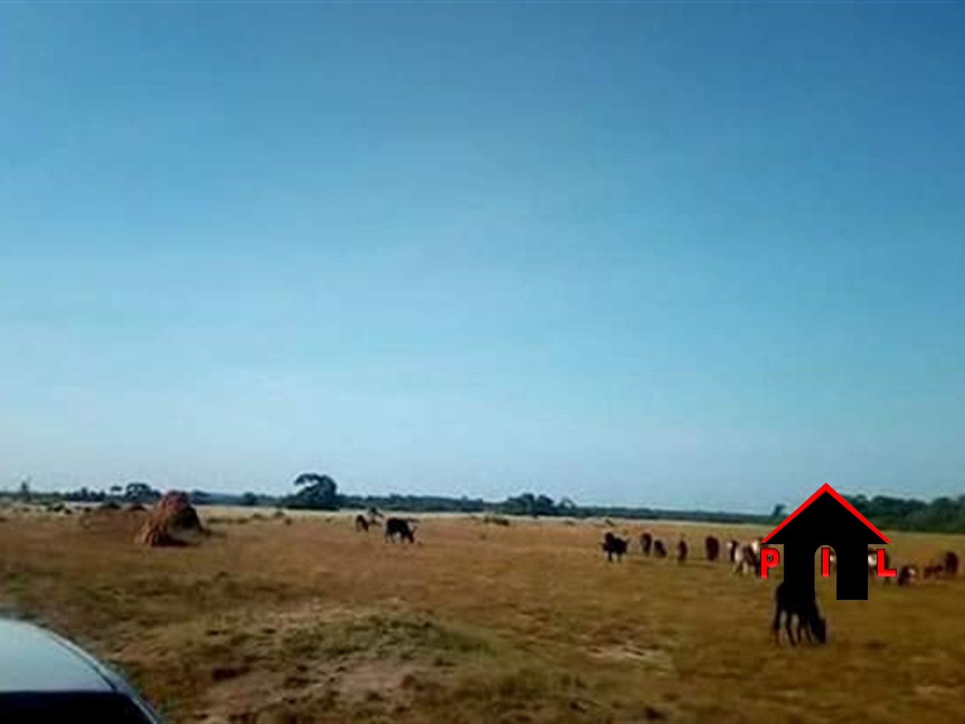 Agricultural Land for sale in Galilaya Kayunga