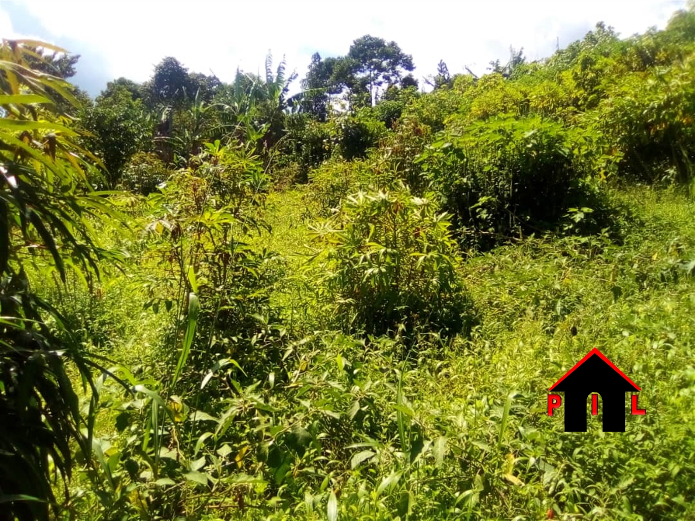 Agricultural Land for sale in Buliba Buyikwe