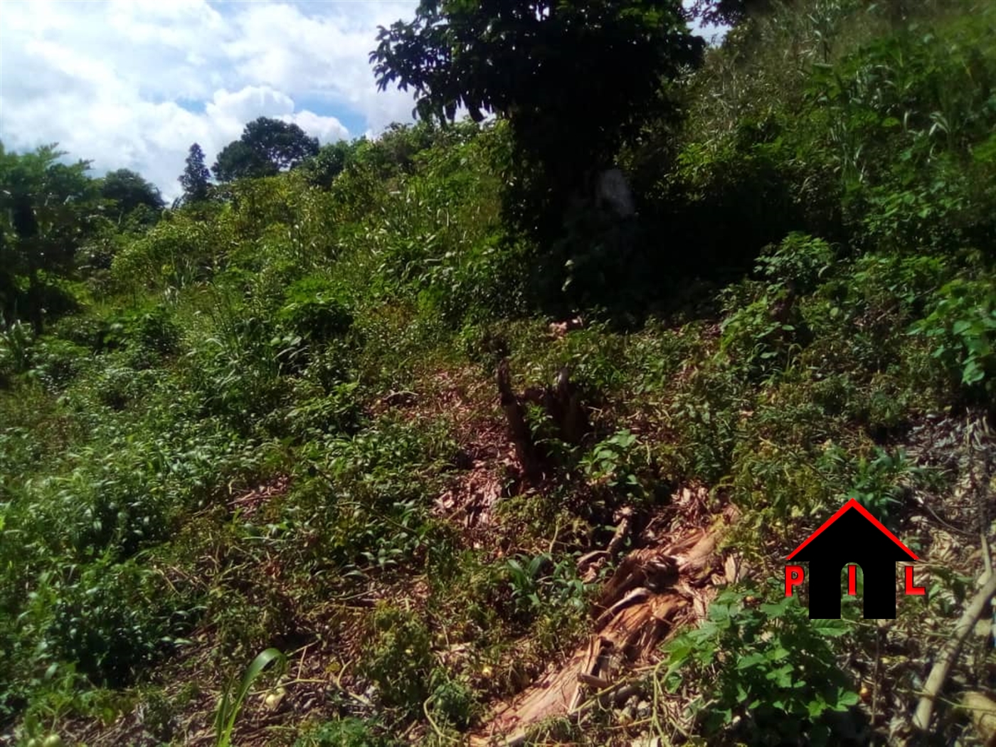 Agricultural Land for sale in Buliba Buyikwe