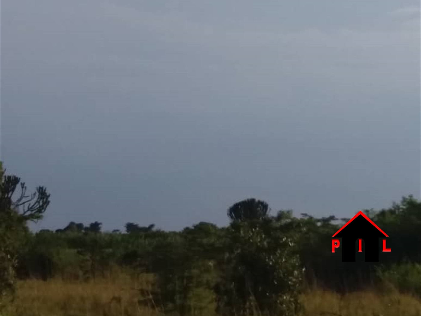 Agricultural Land for sale in Lwemiyaga Masaka