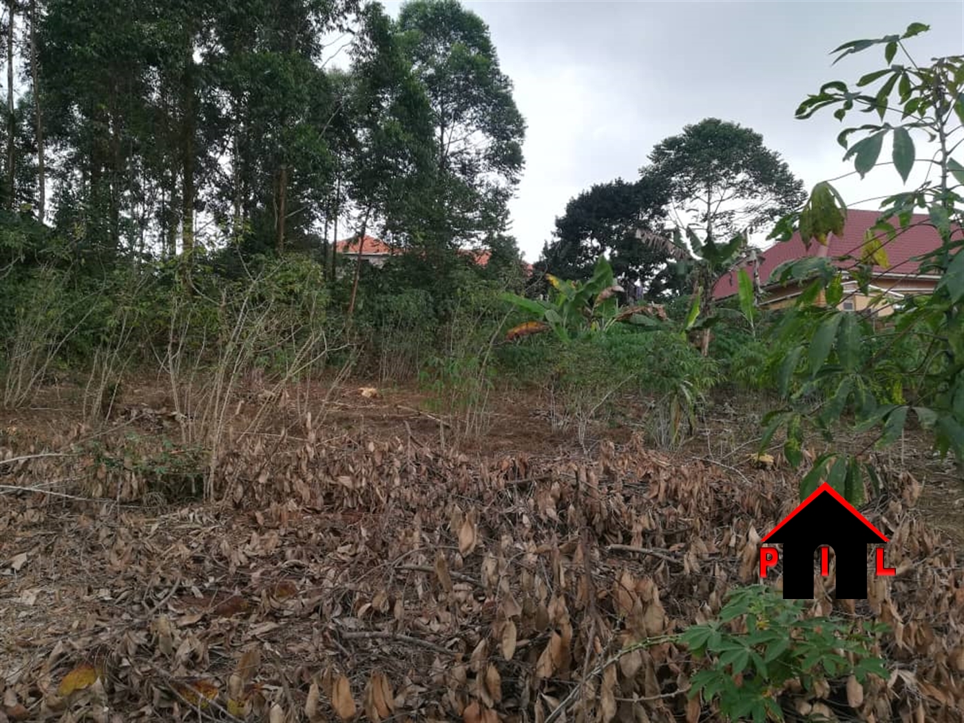 Commercial Land for sale in Nkokonjeru Buyikwe