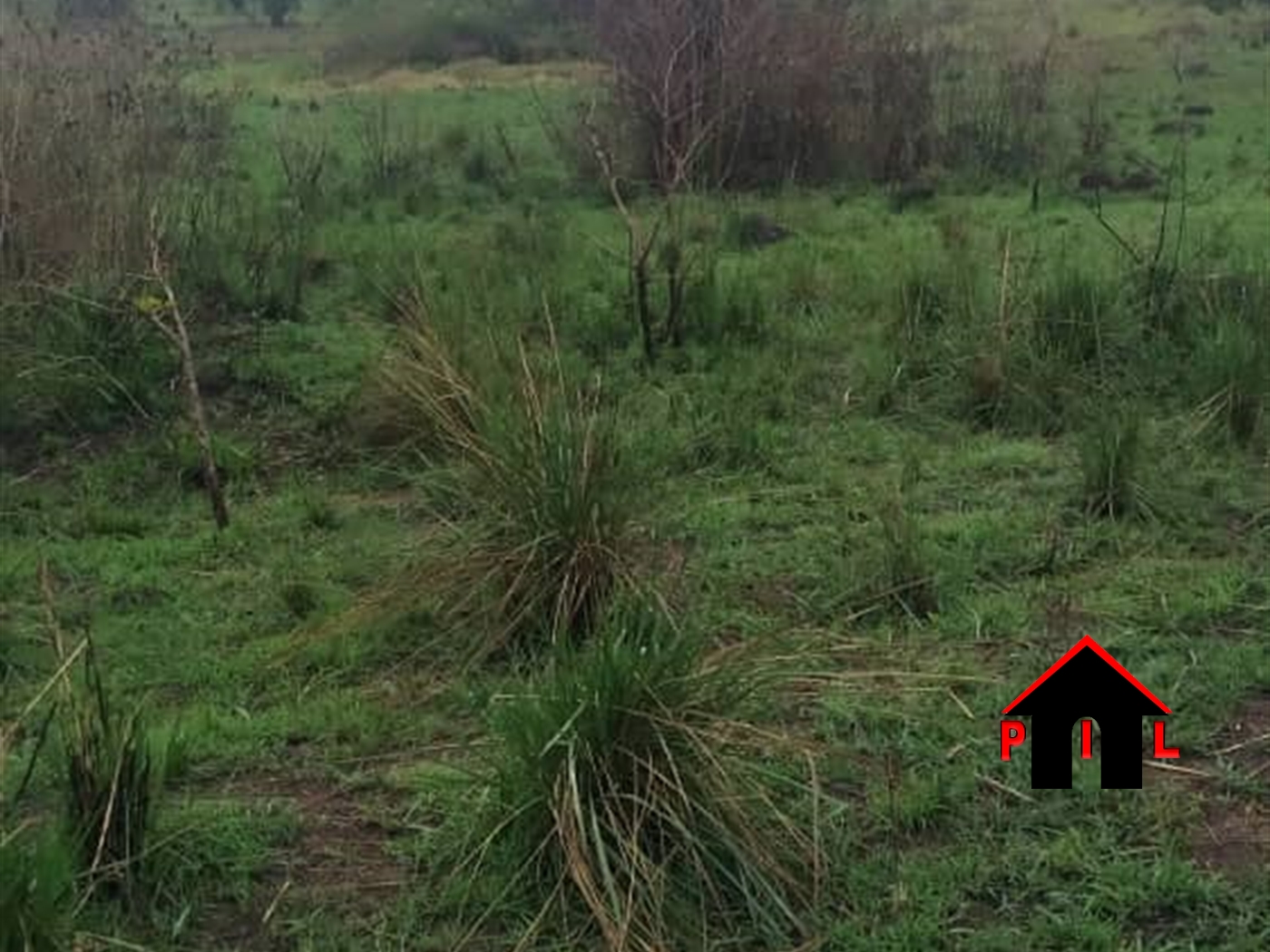 Commercial Land for sale in Bbunga Kampala