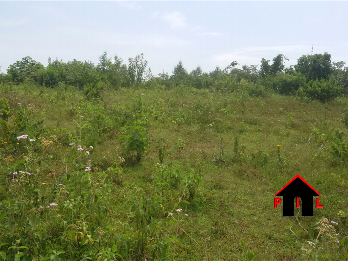 Residential Land for sale in Railway Mukono