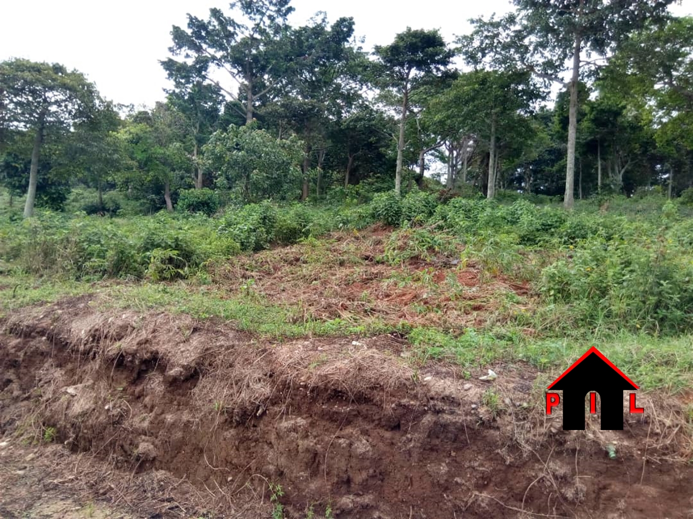 Residential Land for sale in Buddugala Mukono