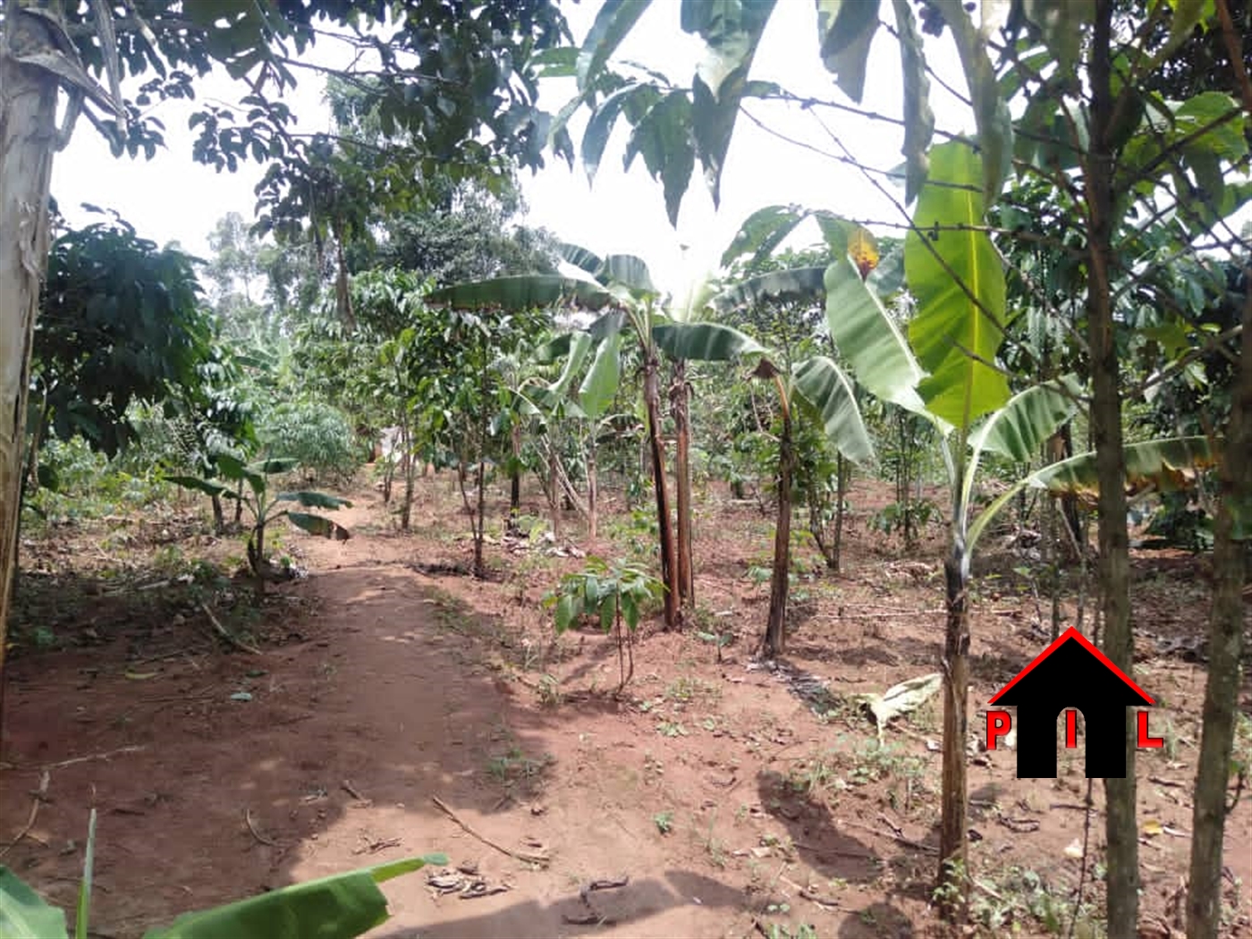 Residential Land for sale in Bukeelele Mukono