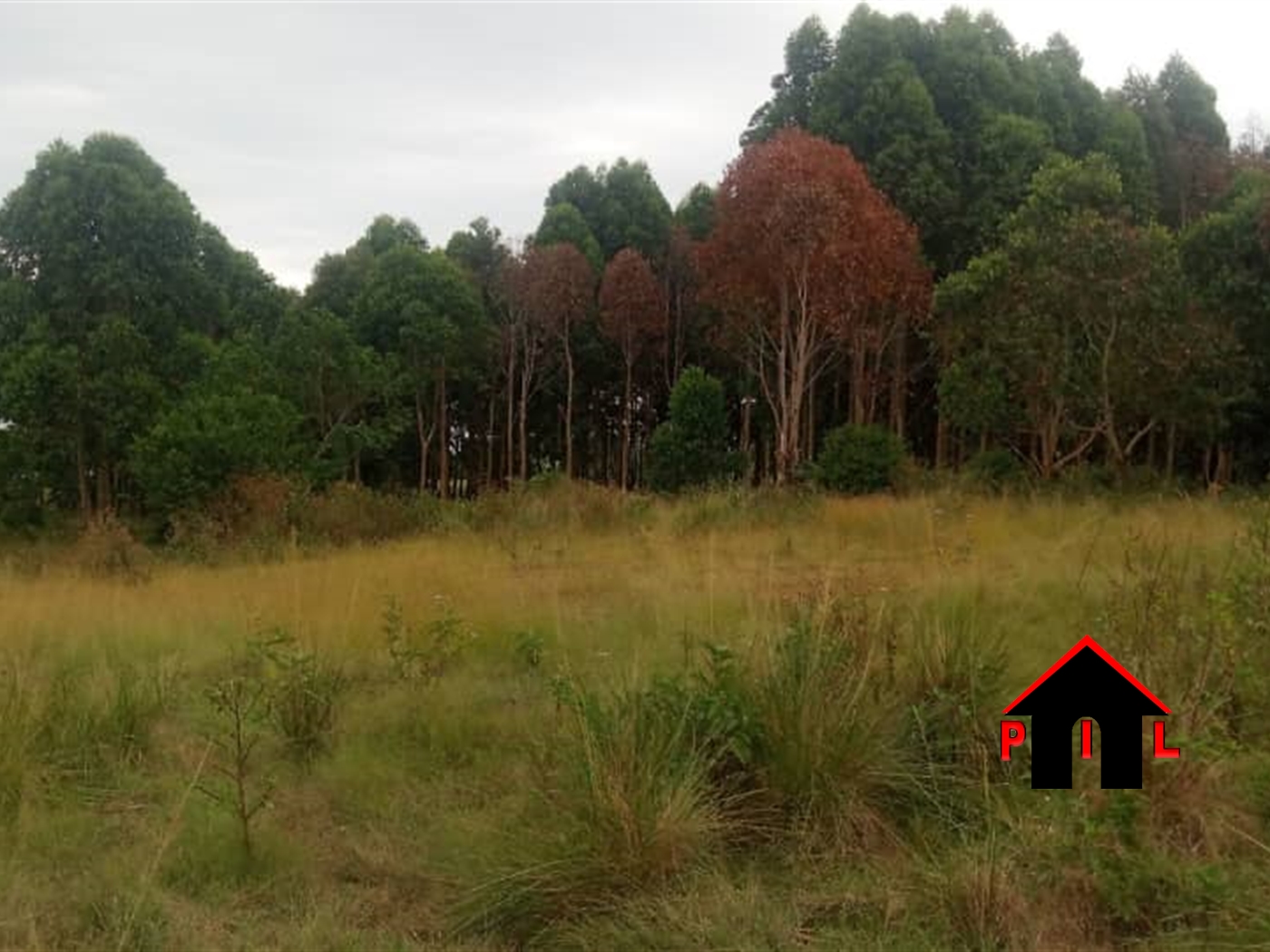 Agricultural Land for sale in Bukuya Mityana