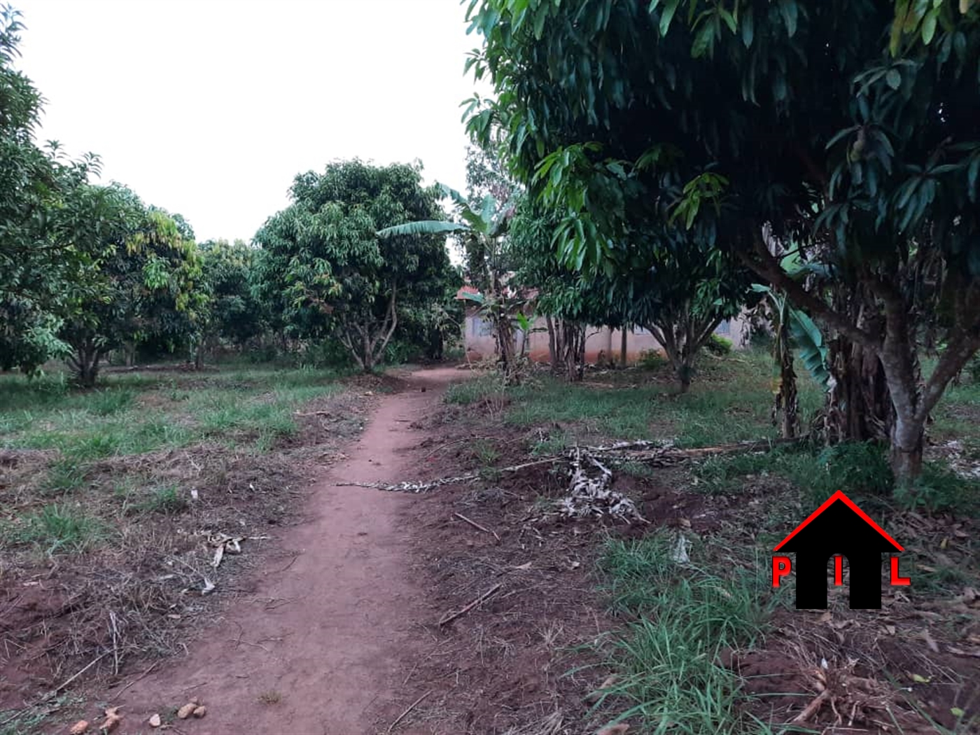 Commercial Land for sale in Lugasa Mukono