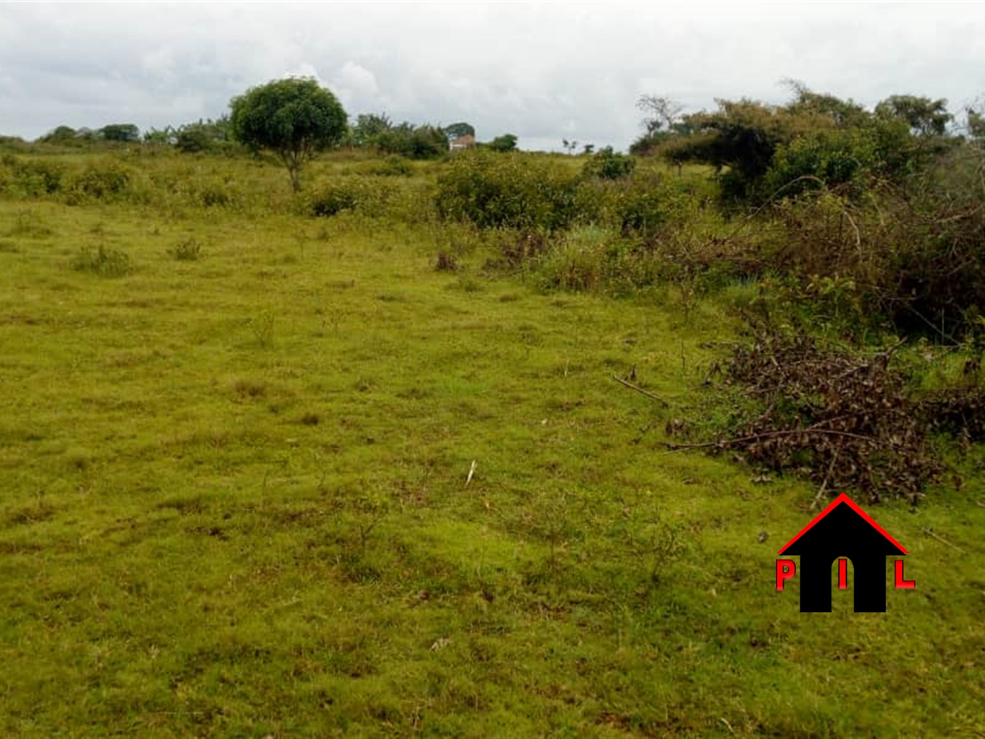 Commercial Land for sale in Nkokonjeru Buyikwe