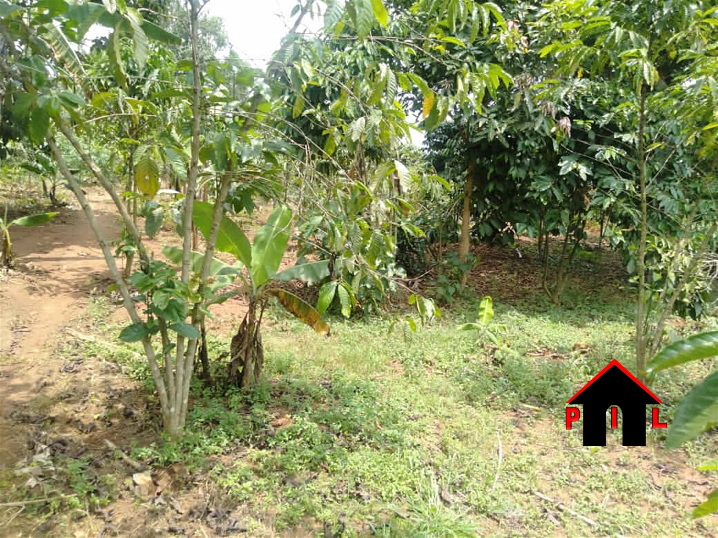 Agricultural Land for sale in Nkokonjeru Buyikwe