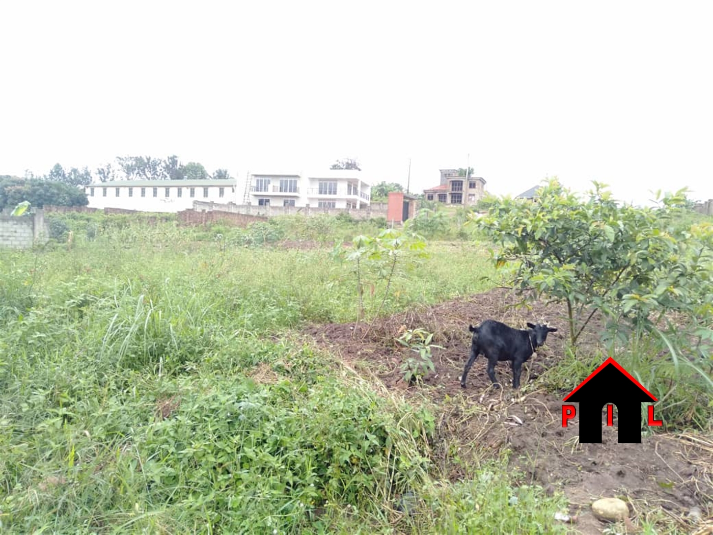 Residential Land for sale in Kitale Mukono