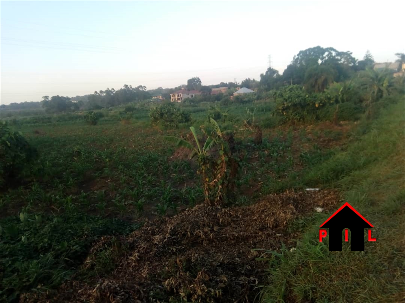 Agricultural Land for sale in Lusango Masaka